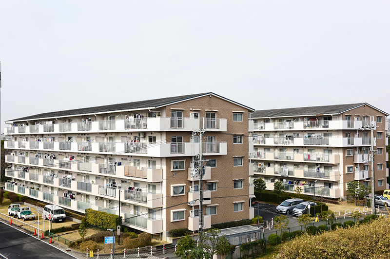 小金台